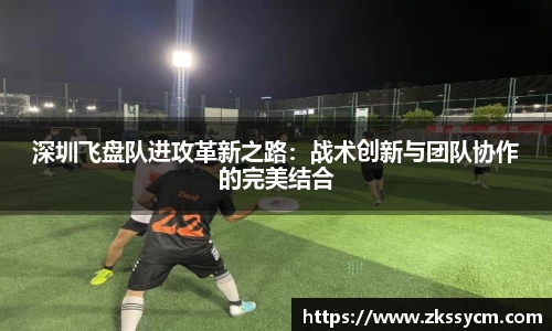 深圳飞盘队进攻革新之路：战术创新与团队协作的完美结合